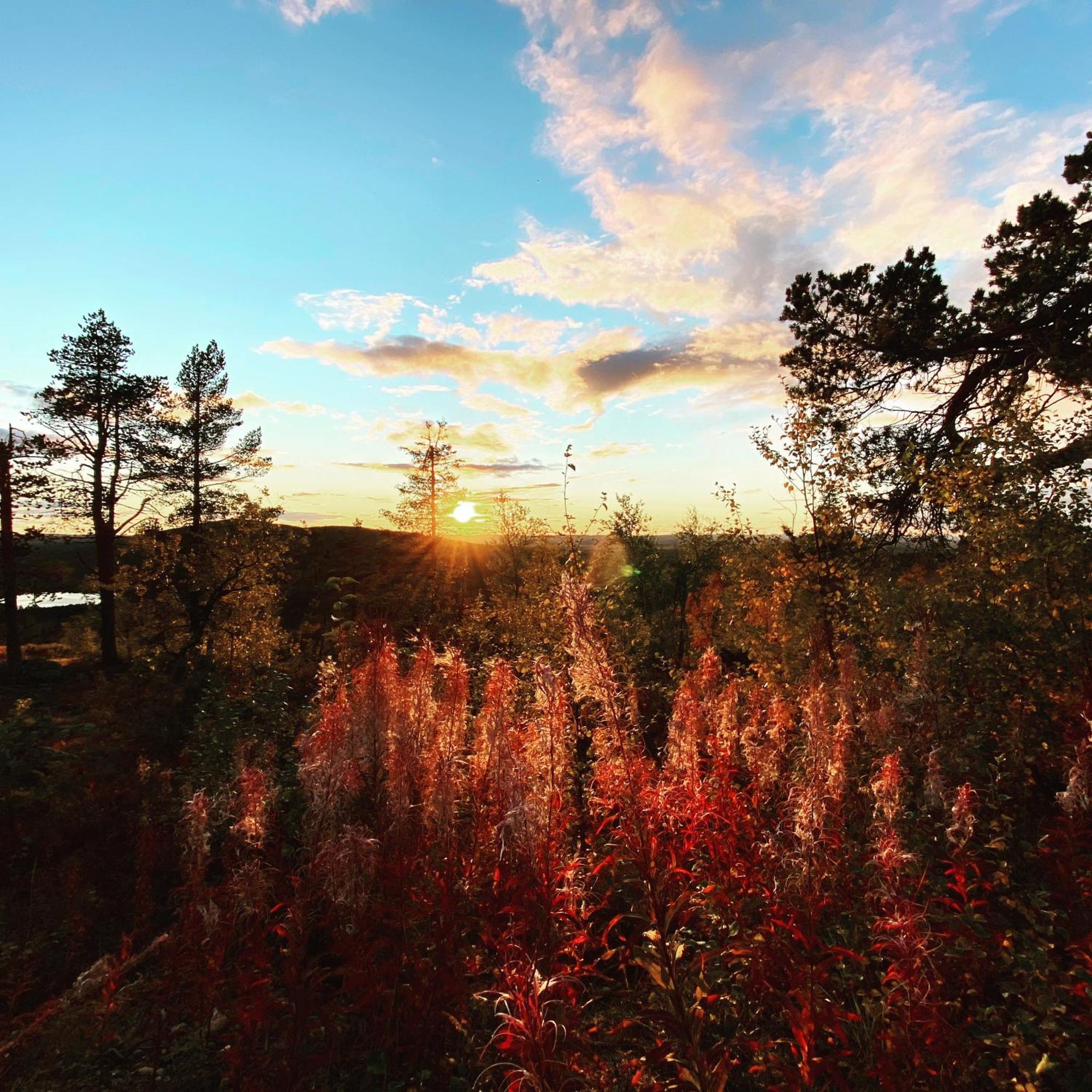 Balder Luxury Lodge Levi Eksteriør bilde
